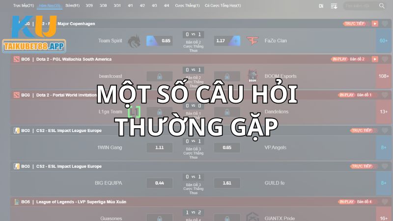 Một số câu hỏi thường gặp